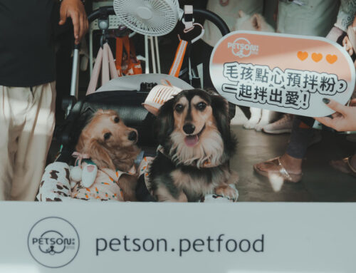 【品牌體驗紀實】毛孩專屬的下午茶時光——沛森 PETSON《寵物點心為愛手作體驗日》溫馨登場